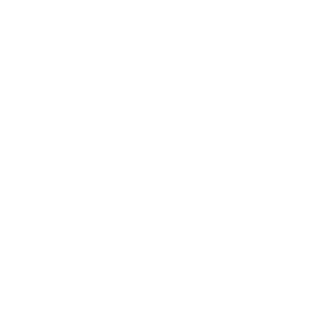 Fuerza Migrante